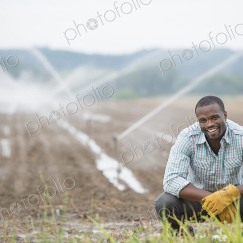 An organic vegetable farm, with water sprinklers irrigating the fields. A man in… An organic vegetable farm, with water sprinklers irrigating the fields. A man in…