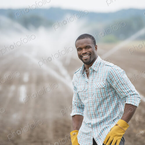 An organic vegetable farm, with water sprinklers irrigating the fields. A man in… An organic vegetable farm, with water sprinklers irrigating the fields. A man in…
