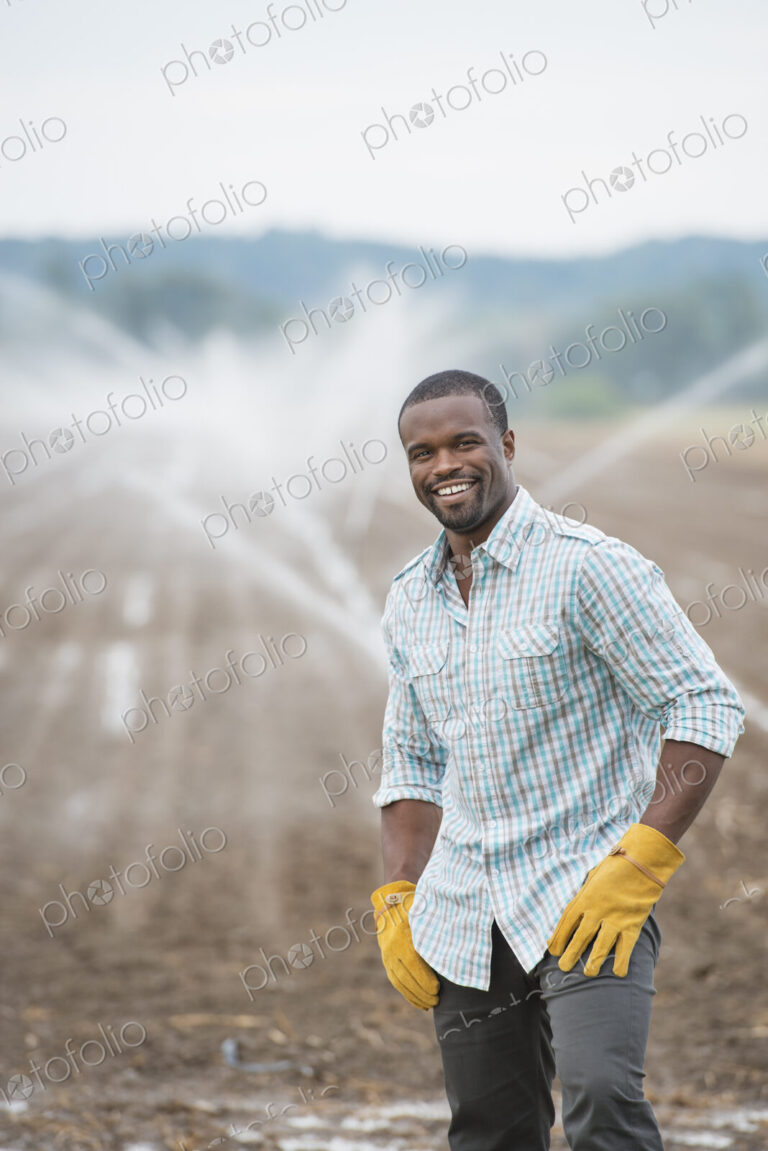 An organic vegetable farm, with water sprinklers irrigating the fields. A man in…