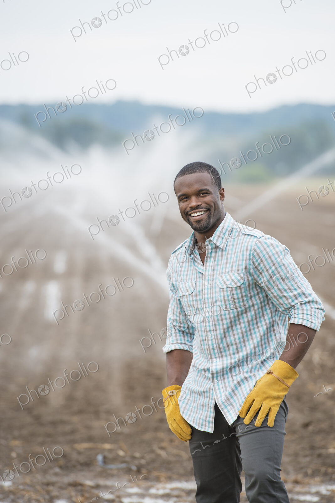 An organic vegetable farm, with water sprinklers irrigating the fields. A man in…
