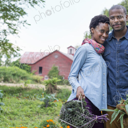 An organic vegetable garden on a farm. A couple carrying baskets of freshly harvested…