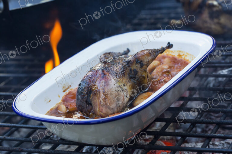 An outdoor cookout, a game bird in a pan braising with vegetables.