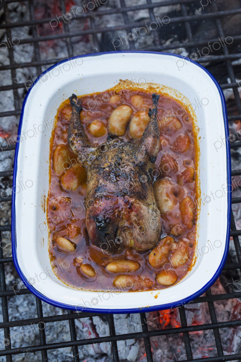 An outdoor cookout, a game bird in a pan braising with vegetables.