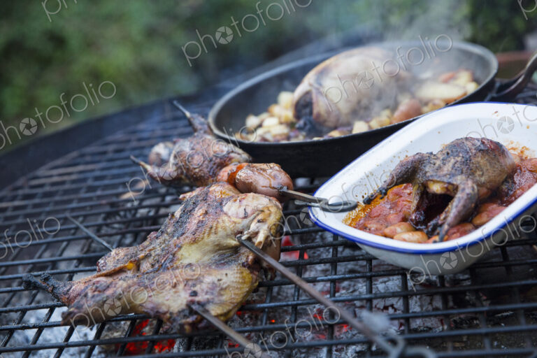 An outdoor cookout, two small game birds in a pan and one being barbequeued above hot…