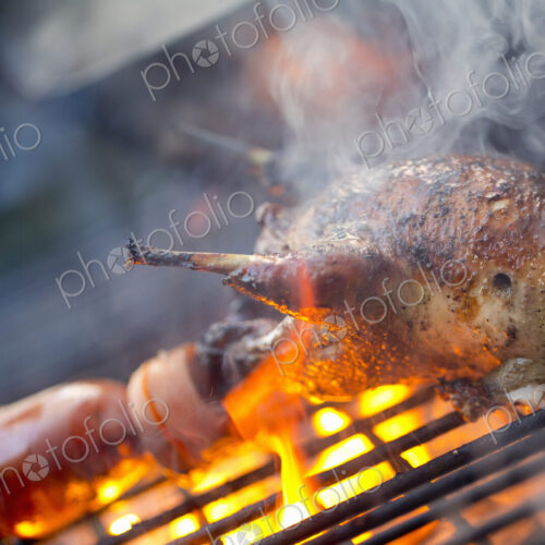 An outdoor cookout. A small game bird being charred over the flames. An outdoor cookout. A small game bird being charred over the flames.