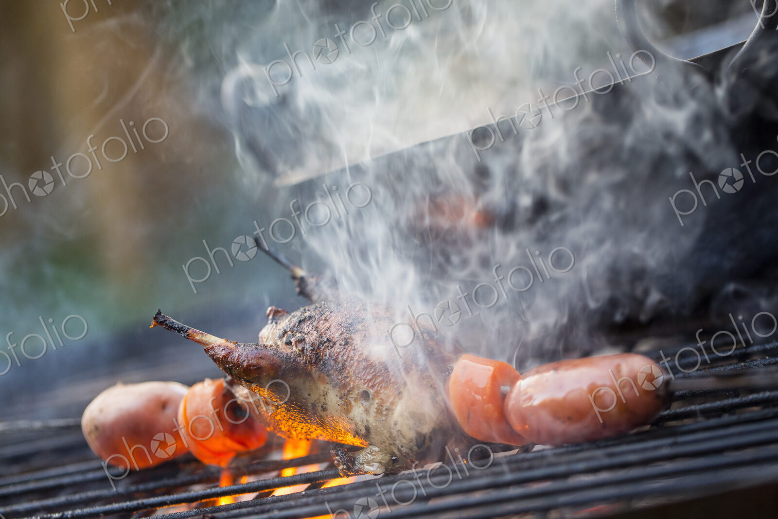 An outdoor cookout. Vegetables and a small game bird cooking over the flames.