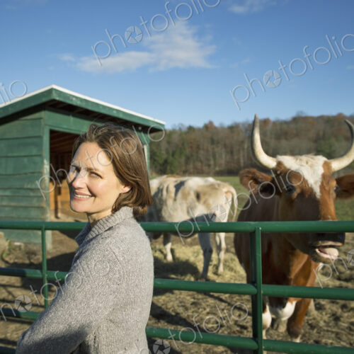 Animal sanctuary. A woman beside the fence, feeding two cows. Animal sanctuary. A woman beside the fence, feeding two cows.