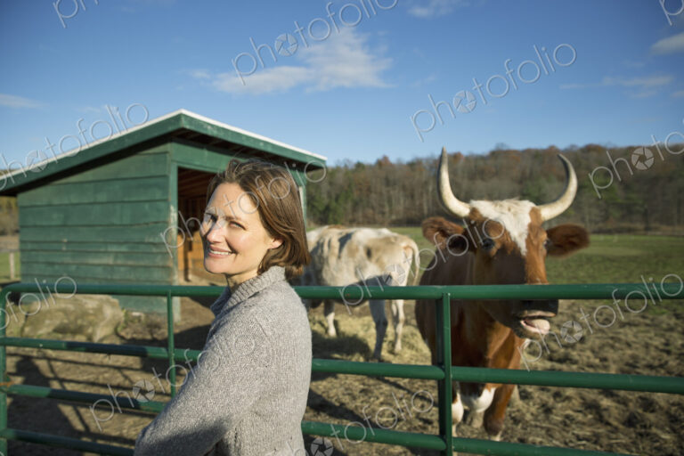 Animal sanctuary. A woman beside the fence, feeding two cows.