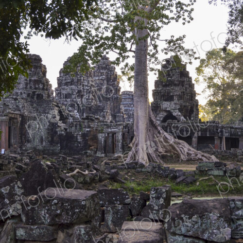 Ankor Wat, a 12th century historic Khmer temple and UNESCO world heritage site. Arches… Ankor Wat, a 12th century historic Khmer temple and UNESCO world heritage site. Arches…