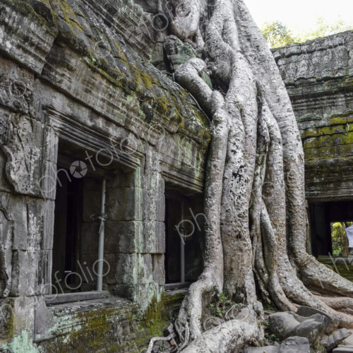 Ankor Wat, a 12th century historic Khmer temple and UNESCO world heritage site. Arches… Ankor Wat, a 12th century historic Khmer temple and UNESCO world heritage site. Arches…