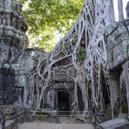 Ankor Wat, a 12th century historic Khmer temple and UNESCO world heritage site. Arches… Ankor Wat, a 12th century historic Khmer temple and UNESCO world heritage site. Arches…