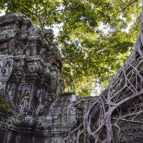 Ankor Wat, a 12th century historic Khmer temple and UNESCO world heritage site. Arches… Ankor Wat, a 12th century historic Khmer temple and UNESCO world heritage site. Arches…