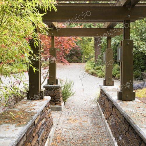 Arbor