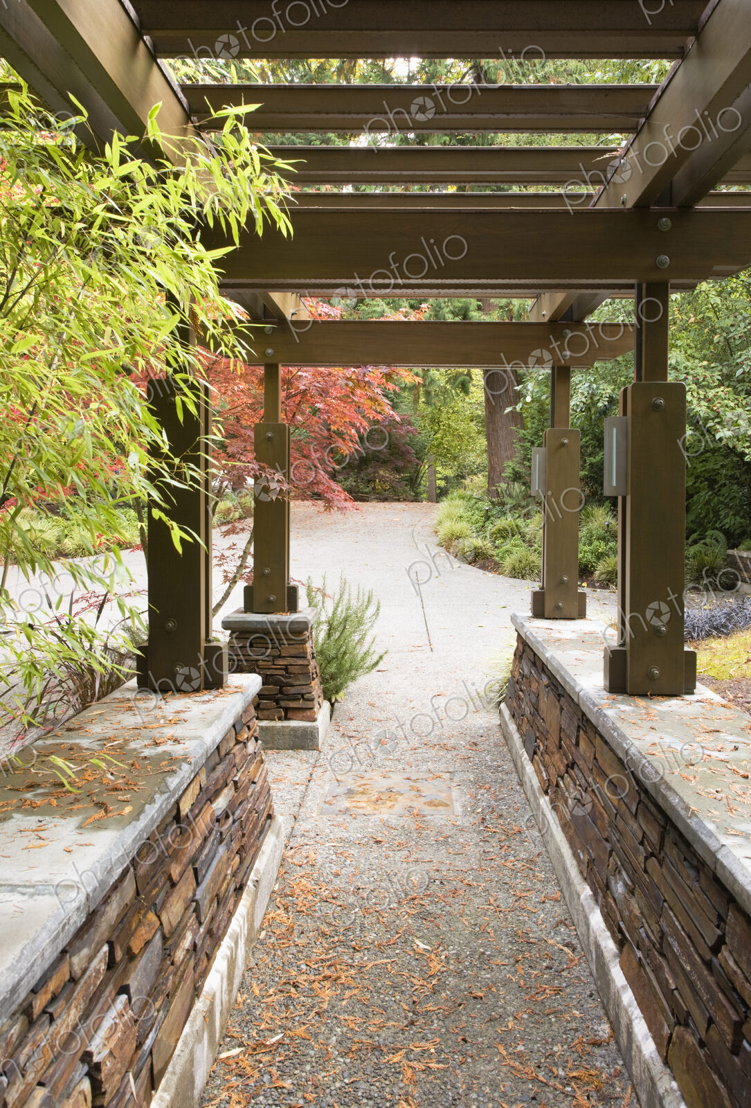 Arbor