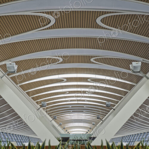 Architectural Roof Interior