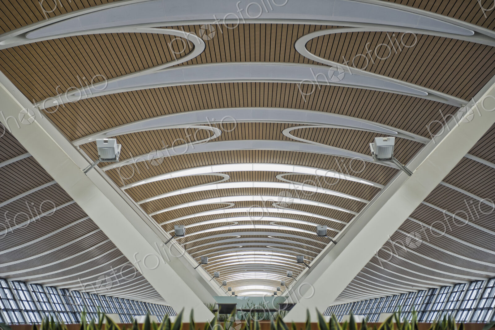 Architectural Roof Interior