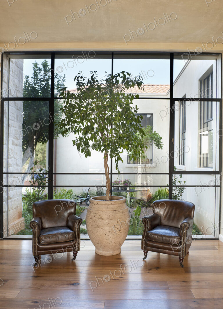 Armchairs in Front of a Large Window