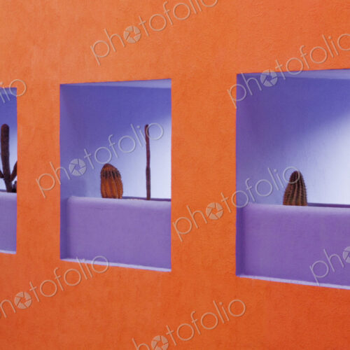 Artistic Niches in a Wall
