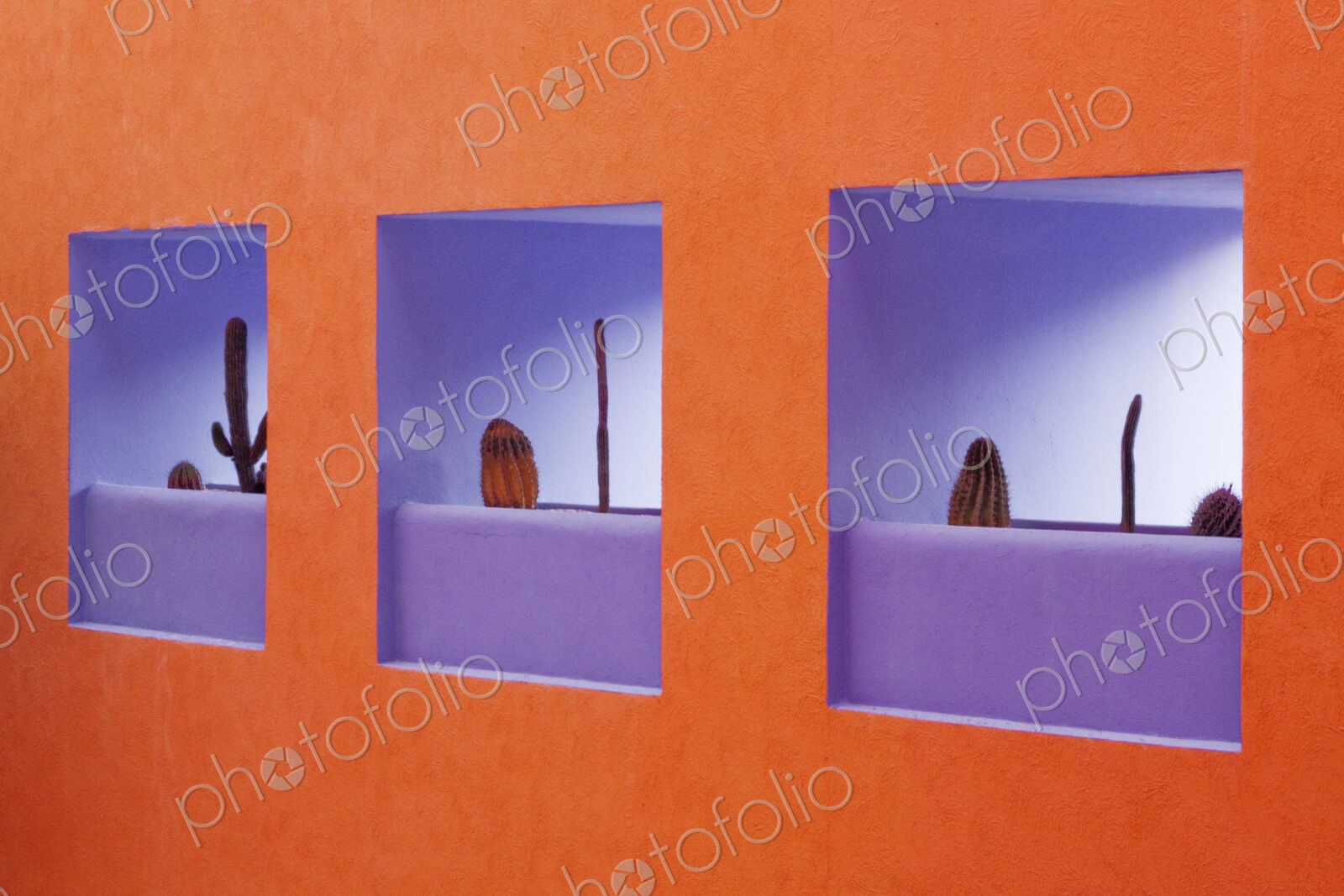 Artistic Niches in a Wall
