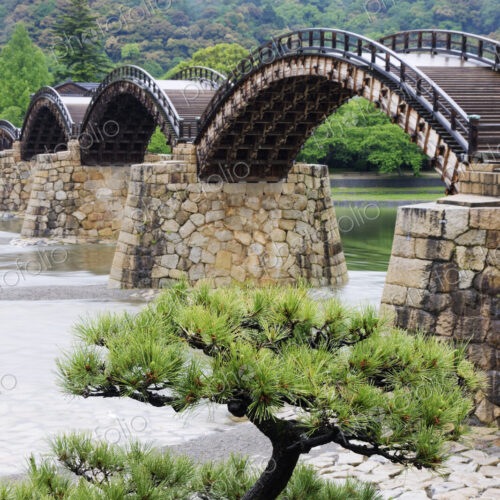 Asian Pedestrian Bridge Over a River Asian Pedestrian Bridge Over a River