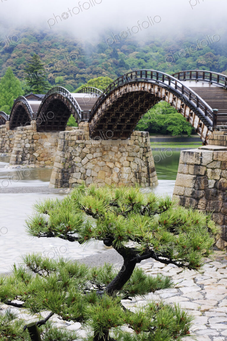 Asian Pedestrian Bridge Over a River