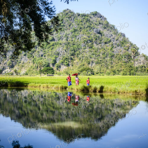 Asian family walking past still lake in rural field Asian family walking past still lake in rural field