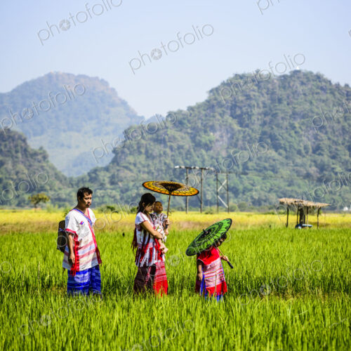 Asian family walking under parasols in rural field Asian family walking under parasols in rural field