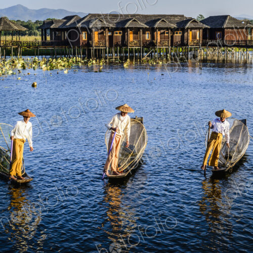 Asian fishermen fishing in canoes on river Asian fishermen fishing in canoes on river