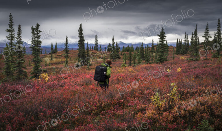 Asian man hiking near trees in landscape