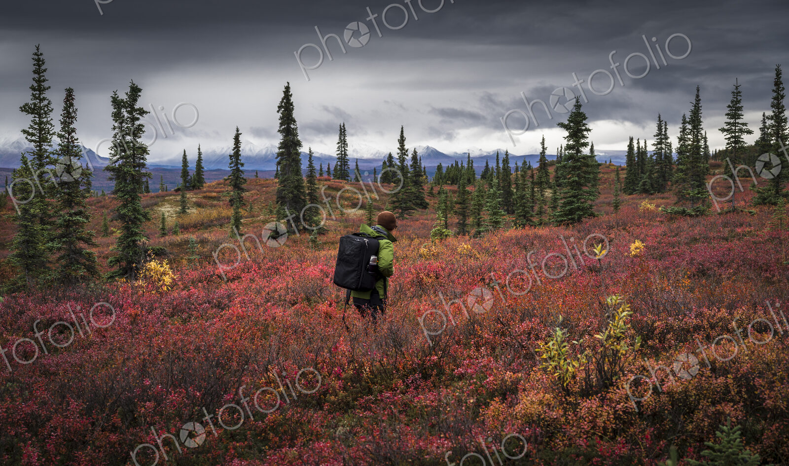 Asian man hiking near trees in landscape