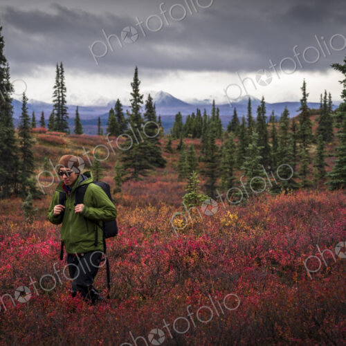 Asian man hiking near trees in landscape Asian man hiking near trees in landscape
