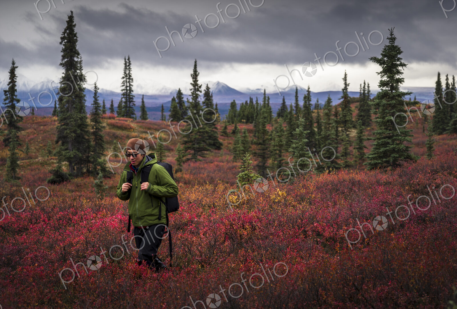 Asian man hiking near trees in landscape