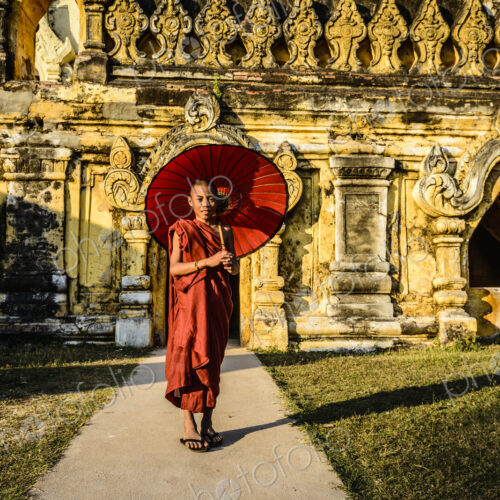 Asian monk-in-training holding parasol outside ornate temple Asian monk-in-training holding parasol outside ornate temple