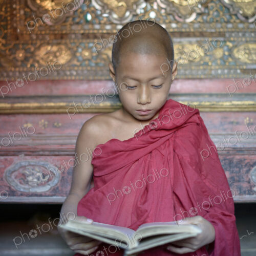 Asian monk-in-training reading book in temple Asian monk-in-training reading book in temple