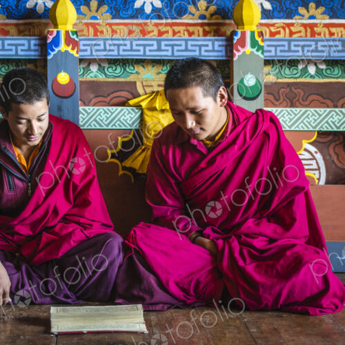 Asian monks reading on temple floor