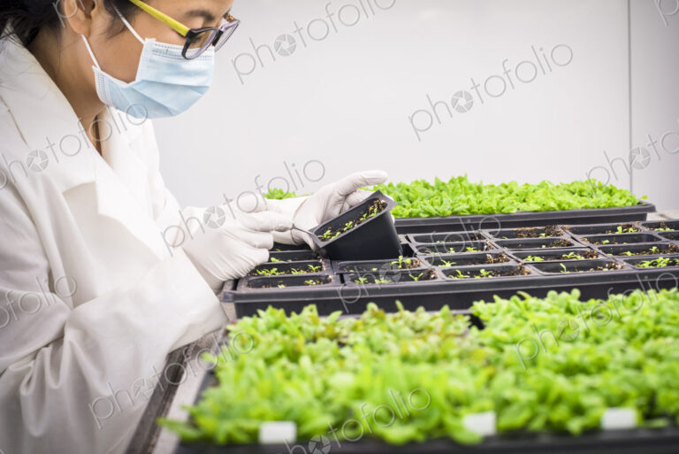 Asian scientist examining plants in laboratory