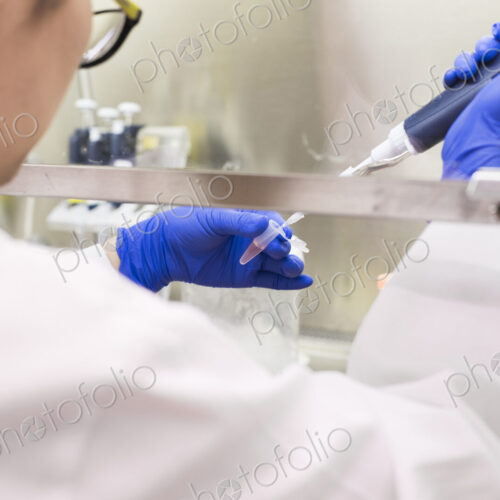 Asian scientist using pipette Asian scientist using pipette