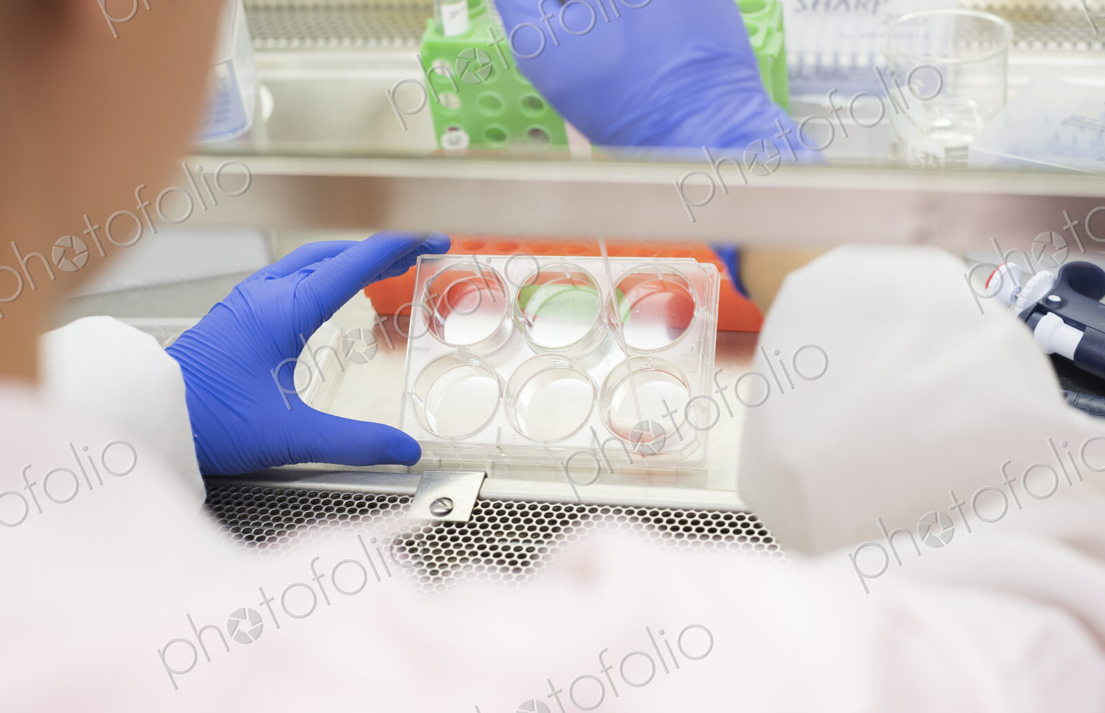 Asian scientist using pipette and petri dish