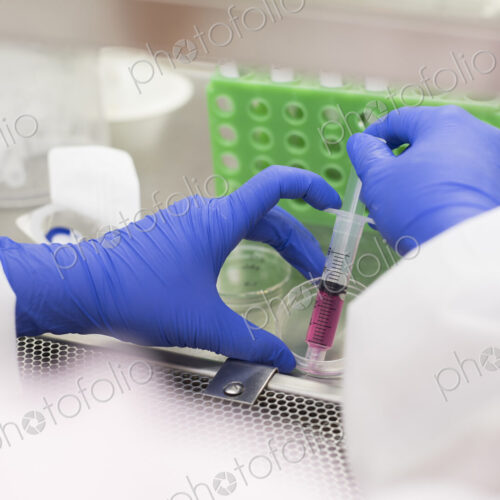 Asian scientist using syringe and petri dish Asian scientist using syringe and petri dish