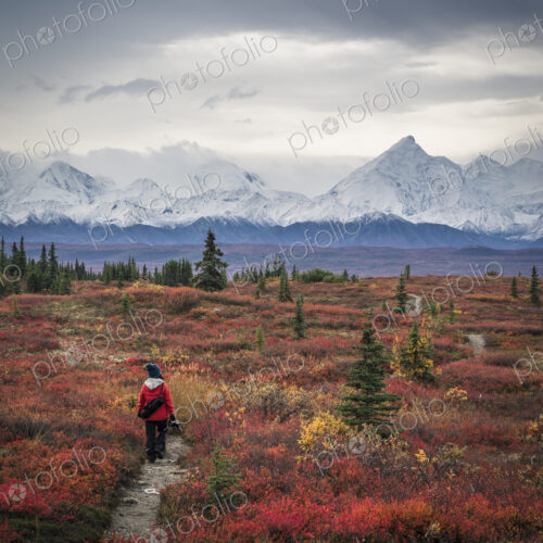 Asian woman hiking near mountains Asian woman hiking near mountains