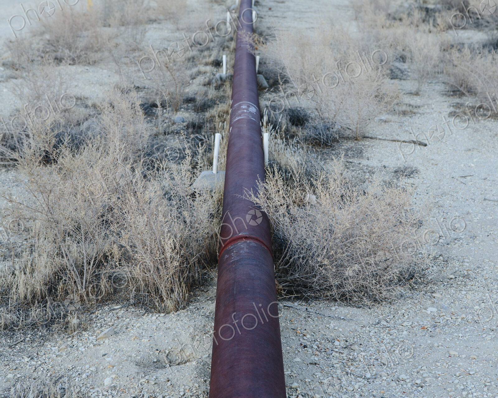 At the Midway-Sunset oil fields outside Bakersfield, crude oil is extracted from…