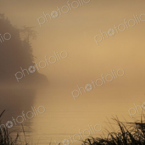 Autumn fog, Deception Pass State Park, low light in the air heavy with fog and view of…