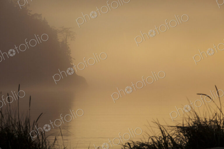 Autumn fog, Deception Pass State Park, low light in the air heavy with fog and view of…