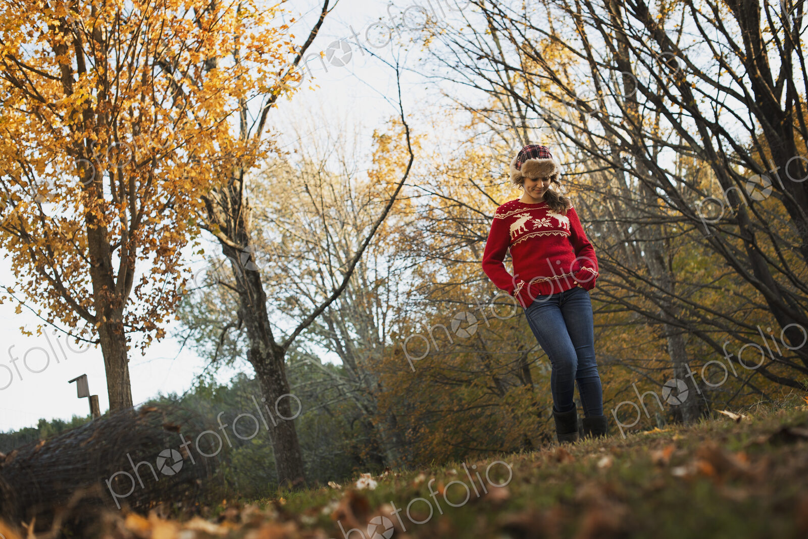 Autumn foliage on the trees on a farm. A young girl in a red knitted jumper with a…