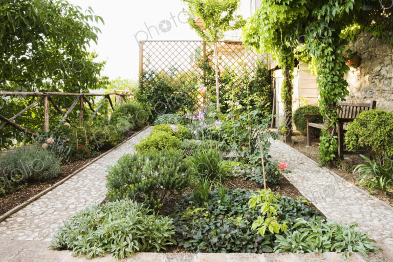 Backyard Garden