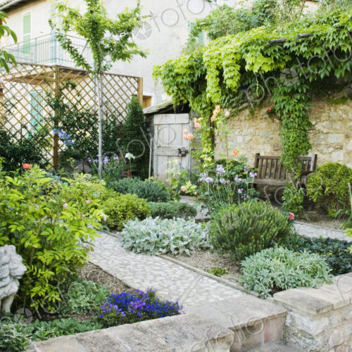 Backyard Garden