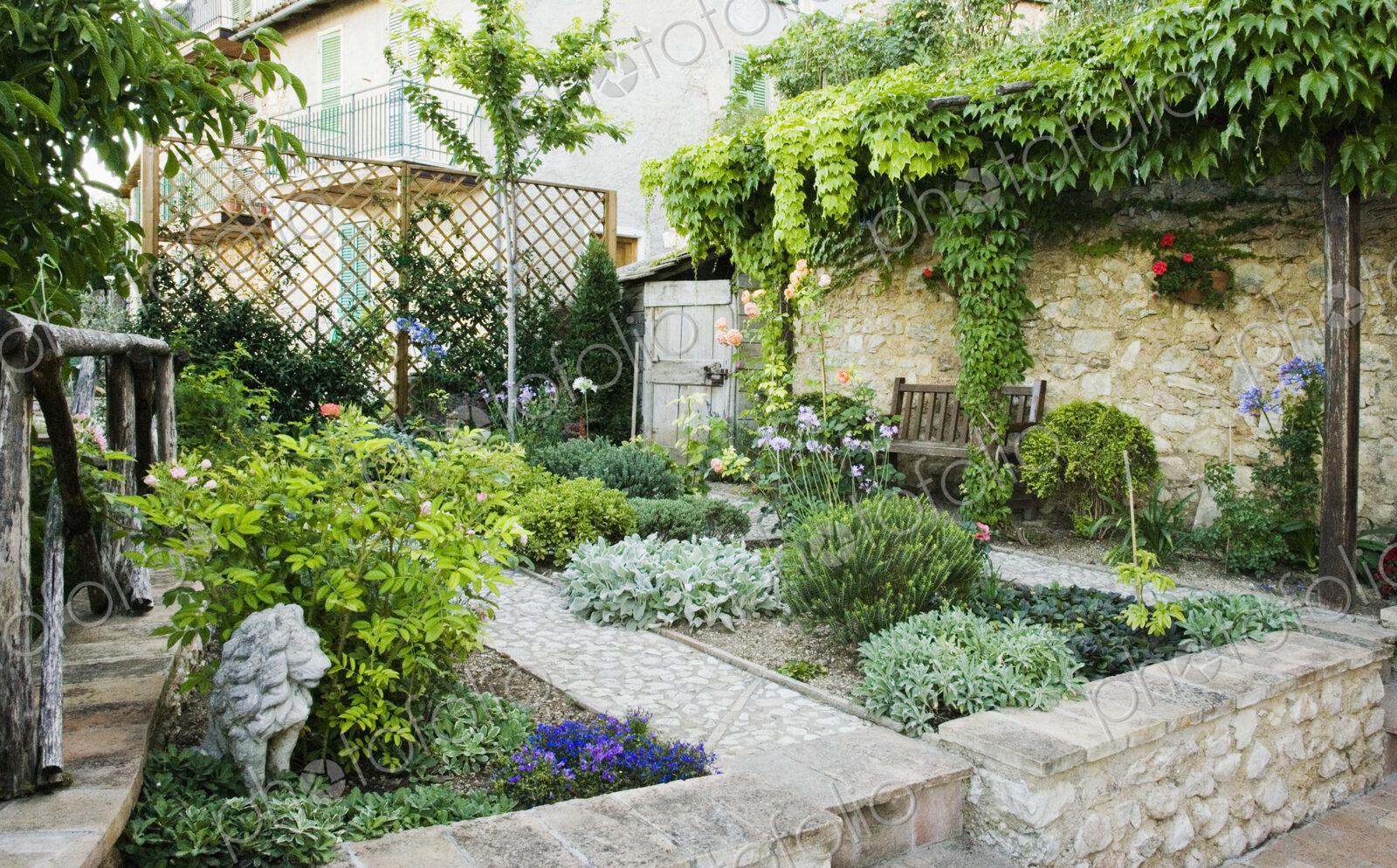 Backyard Garden