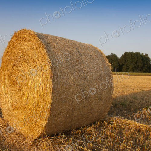 Bale of Hay in Field