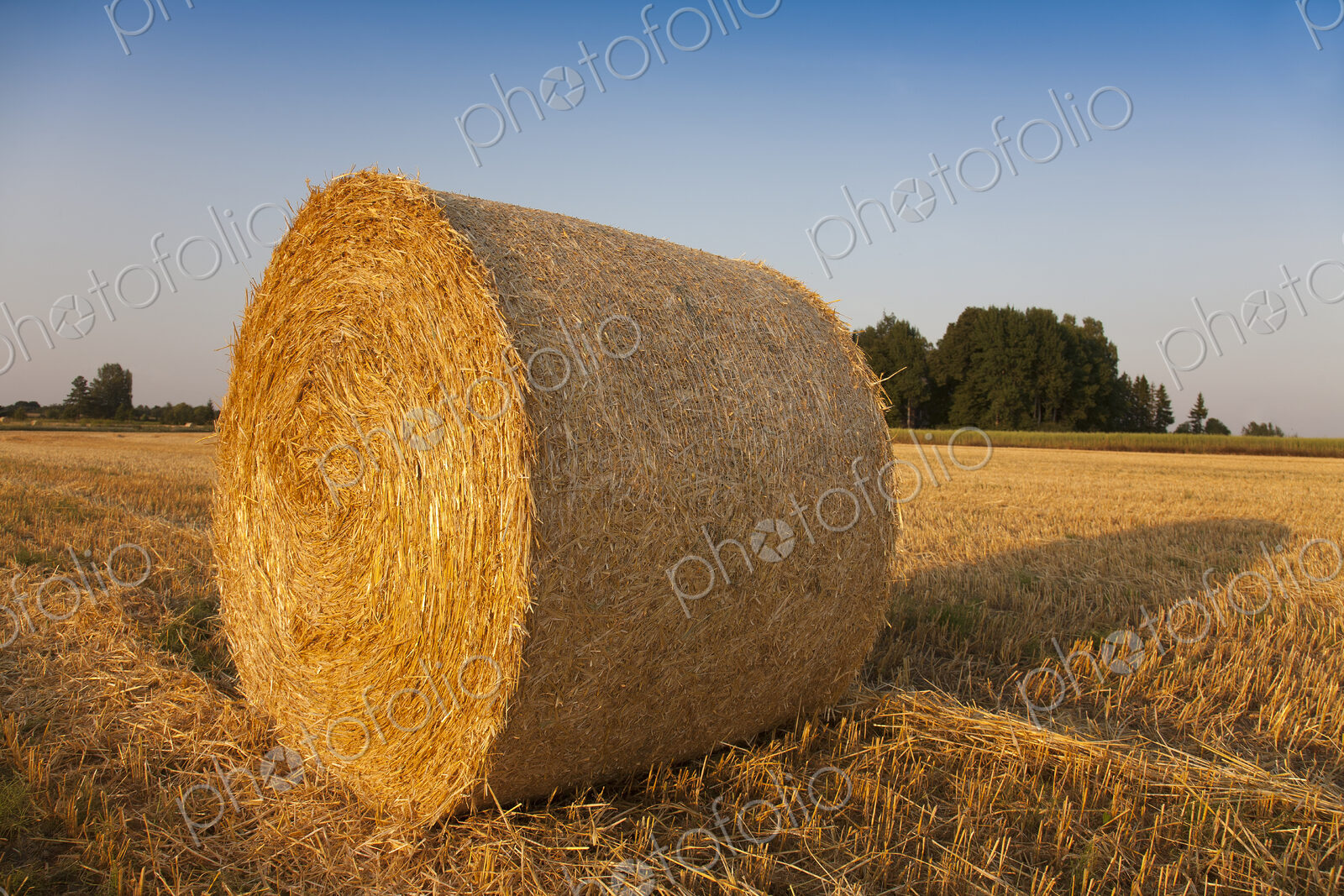 Bale of Hay in Field