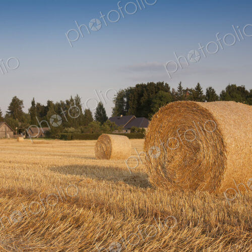 Bale of Hay in Field